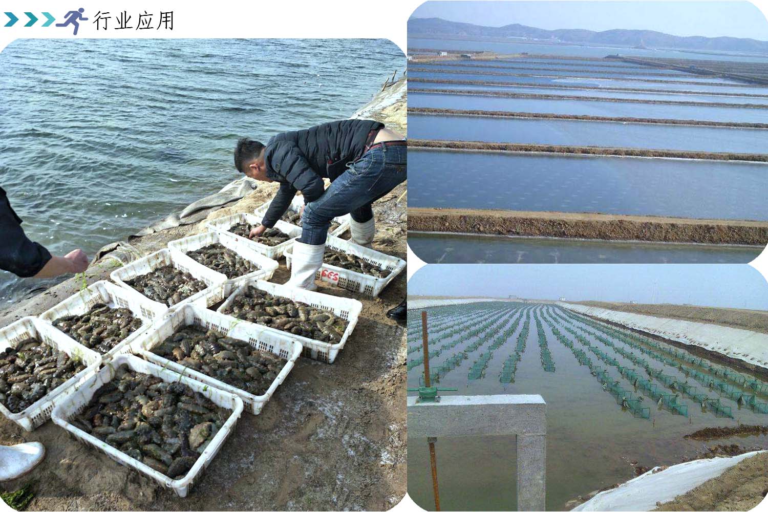 行业应用.jpg
